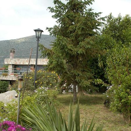 B&B La Vecchia Scuola Sonnino Dış mekan fotoğraf